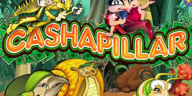 Cashapillar